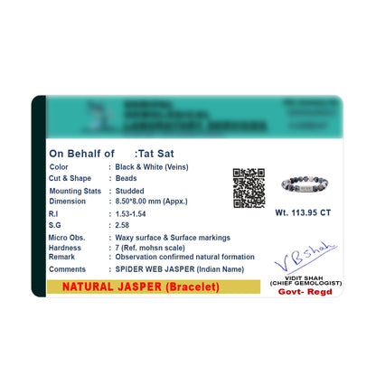 Spider Web Jasper - For Business Networking