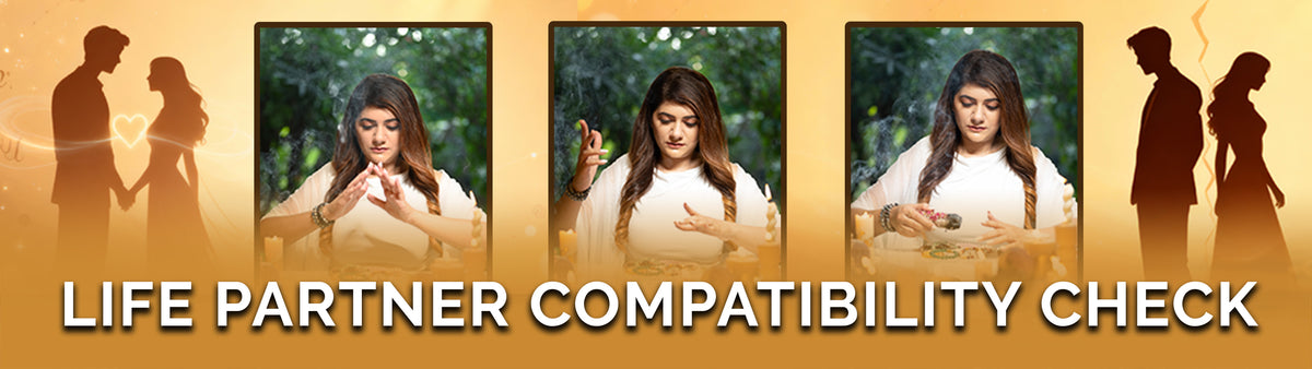 Compatibility Check Life Partner Compatibility Check – Healverse